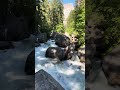 Vernal Fall (Merced River) footbridge Yosemite National Park 6/10/26 5:19 PM