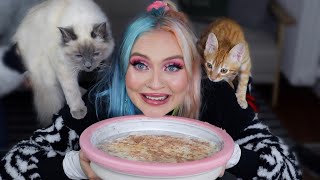 making ice cream for me and my cats