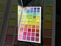 Plouise AM to PM palette!