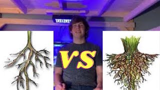 The Difference Between Tap Roots And Fibrous Roots