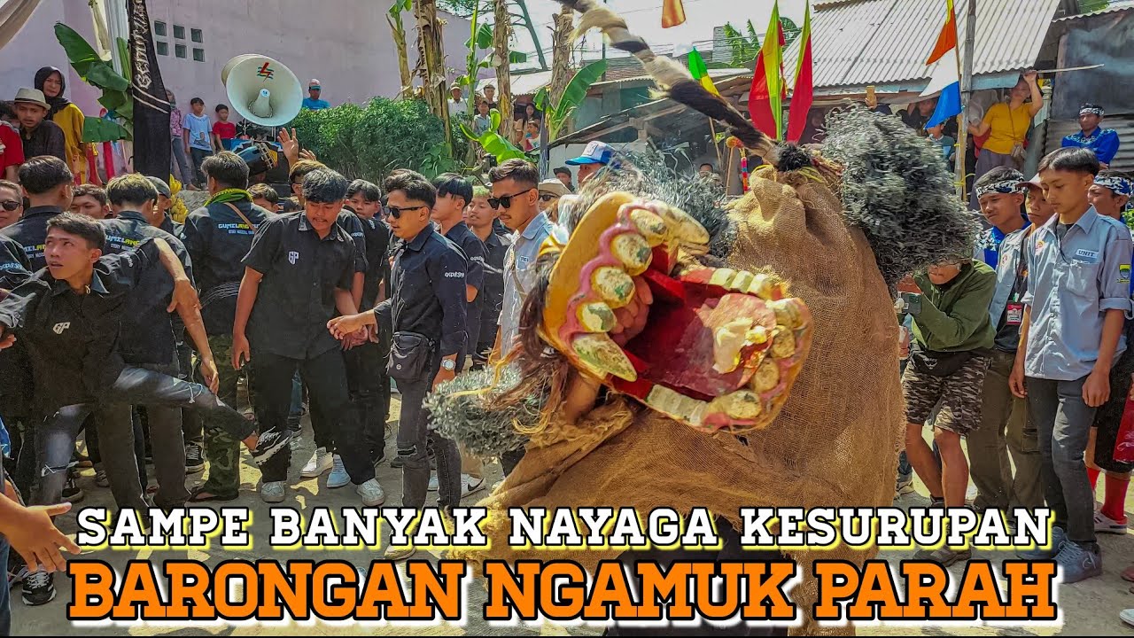 BARU MULAI BARONGAN LANGSUNG NGAMUK❗❗❗SAMPE BANYAK NAYAGA KESURUPAN | SENI REAK GUMILANG PUTRA