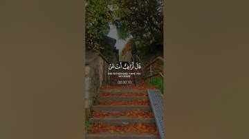 القرآن الكريم سورة مريم الآيات 44 45 46 47 بصوت الشيخ فارس عباد