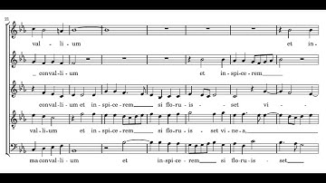 Palestrina: Descendi in hortum meum - Sixteen