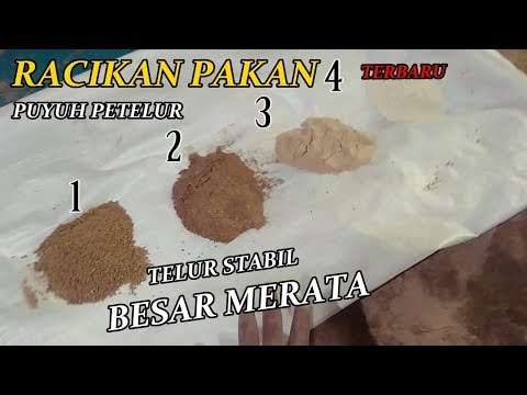 Video: Cara Menyiapkan Pakan Majemuk Untuk Burung Puyuh