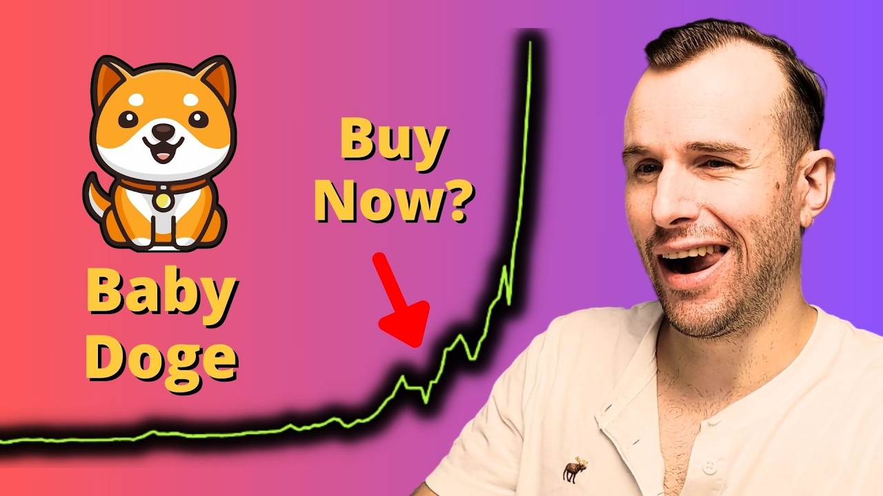 Why Baby Doge is up ⚠ Crypto Token Analysis