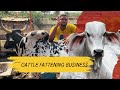 How i went from working for people to owning a 250 capacity cattle farm