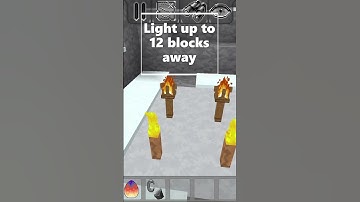 📣Multicraft UPDATE!: Big Torch & Octopus!