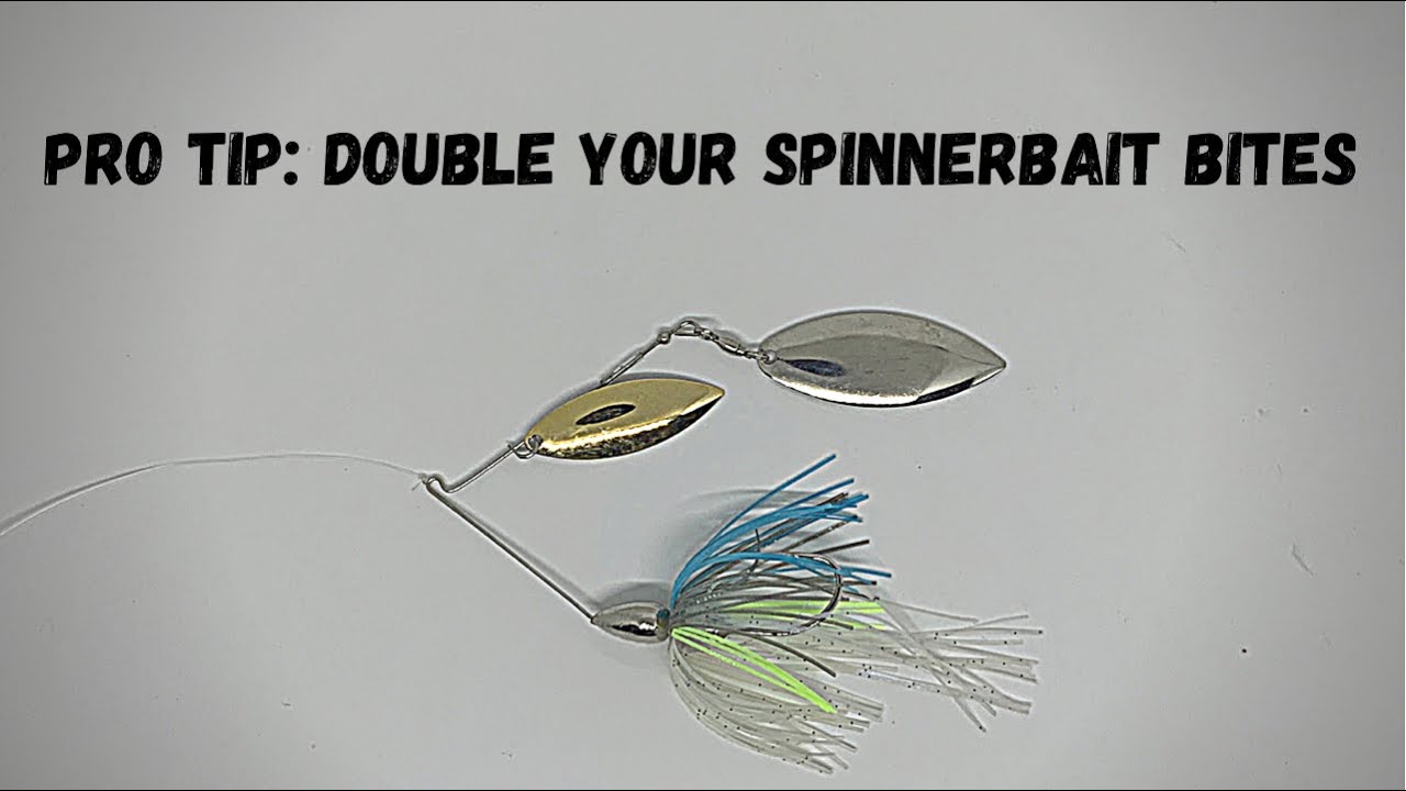 How does Jason Christie store his Tournament Winning Spinnerbaits? 