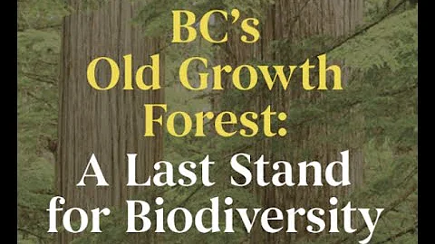 A Provincial & Regional Overview of BC’s Old Growth Forests with Dr. Rachel Holt Veridian Consulting