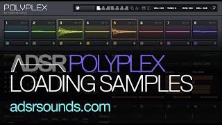 NI Polyplex - Loading Your Own Samples into Polyplex