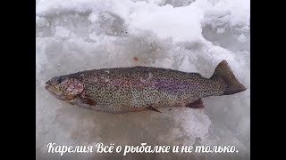 видео Рыбалка в тверской области с проживанием. Эко-парк приглашает на рыбалку на озеро Наговье