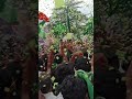 ടീം UDF