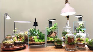 Let's learn how to manage terrarium. [Chapter 2]