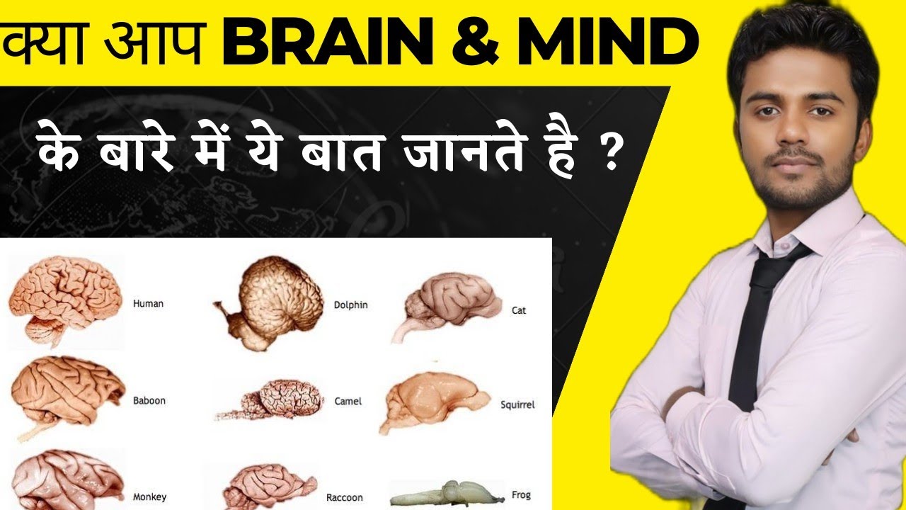 क्या आप Brain & Mind के बारे में ये बात जानते है ? | Facts about Brain| Types of Brain & Mind