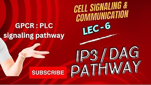 IP3 DAG Pathway in GPCR| L-6| Calcium pathway| Phospholipase C (PLC) pathway #csir #gate #dbtjrf
