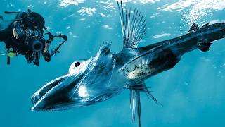 Terrifying Sea Creatures Spotted In The Deep Ocean