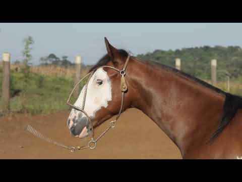 Lote 27   Las Misiones El Chamamé