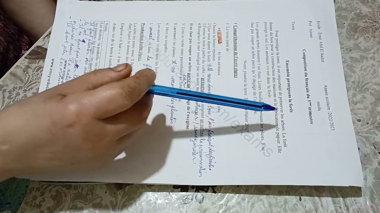5AP:Composition du 3ème trimestre:Ensemble protégeons la forêt
