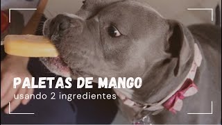 Paletas de Mango Pet Friendly