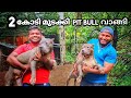 2 കോടി മുടക്കി PIT BULL വാങ്ങി