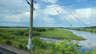 9 мая 2024, город-герой Тула ⭐️ Улетай печаль и горе 🕊️ Концерт #деньпобеды #тула #городгерой