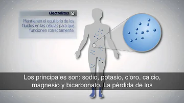 ¿Cómo se ve el cuerpo cuando te Intoxicas?