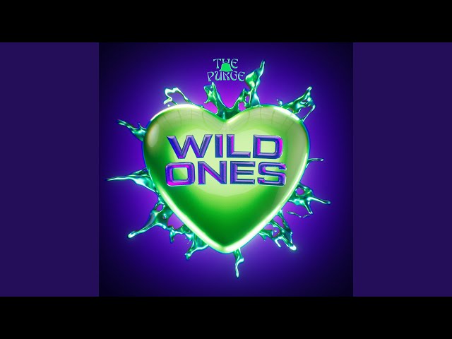 WILD ONES - YouTube