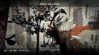 The killcam lagged so I rehit the shot ...