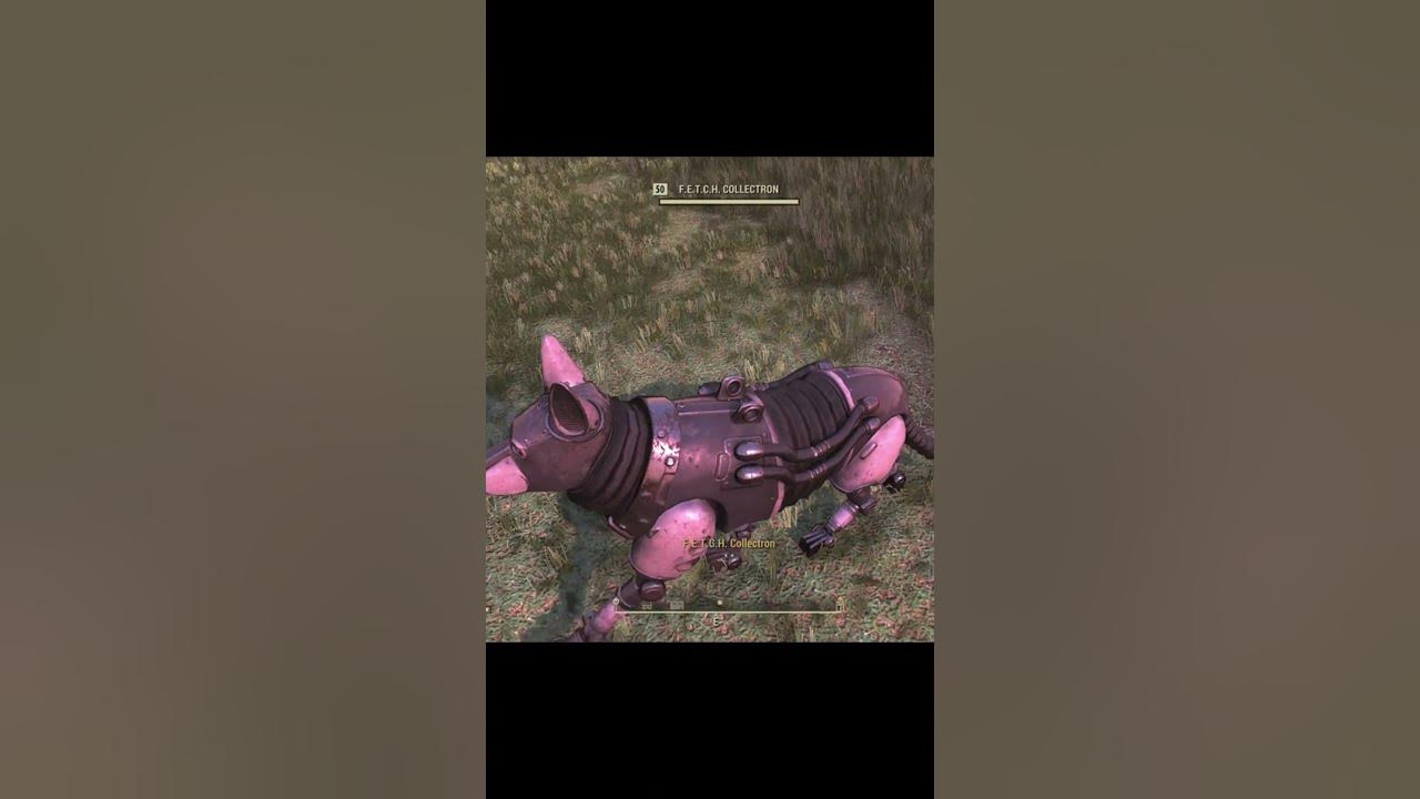 fallout-76-awesome-robot-dog-the-fetch-collectron-station-shorts-youtube