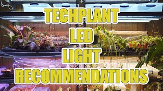 The LED Lights I Use AND Recommend And Why!
