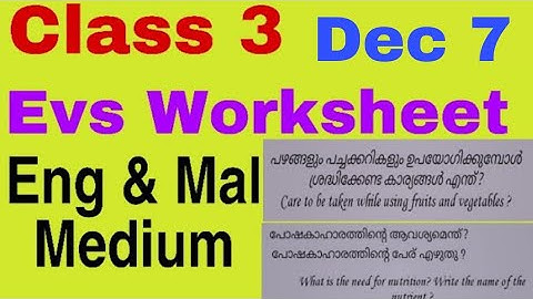 Class 3 Evs Worksheet Dec 7/3 rd std evs worksheet 7/12/21/Std 3 Evs Worksheet 7/12/21