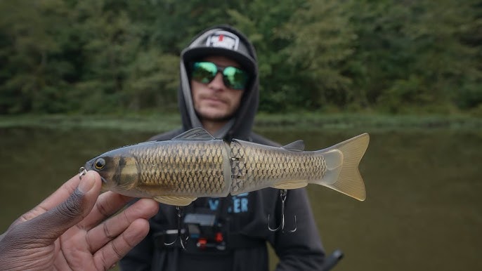 FROG FISHING For Bass! But WHEN Is It The RIGHT Lure?? 