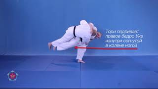 Hane goshi (Ханэ гоши)