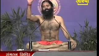 Yog Camp in Patanjali Yogpeeth Haridwar, Date 18 March, 2012