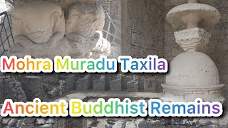 2000 Years Old Ancient Buddhist Stupa & Monastery Mohra Muradu of Sirsukh ruins of Taxila Pakistan