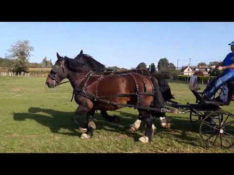 Les Cobs de Philippe Rallu suivent les anciennes routes de halage