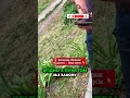Мобілізація в Україні: Хто має право? 🚔 Поліція та тцк
