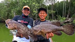 Sensasi Sambaran Predator Sungai Buaya  Mancing Mania Strike Back 310126 Part 2