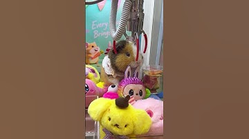 Crazy Claw Machine Paradise:Part 10 #clawmachine #arcade