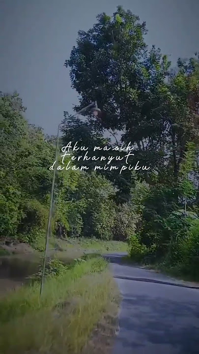 menanti sebuah jawaban #youtubeshorts #shorts #sobatpadi