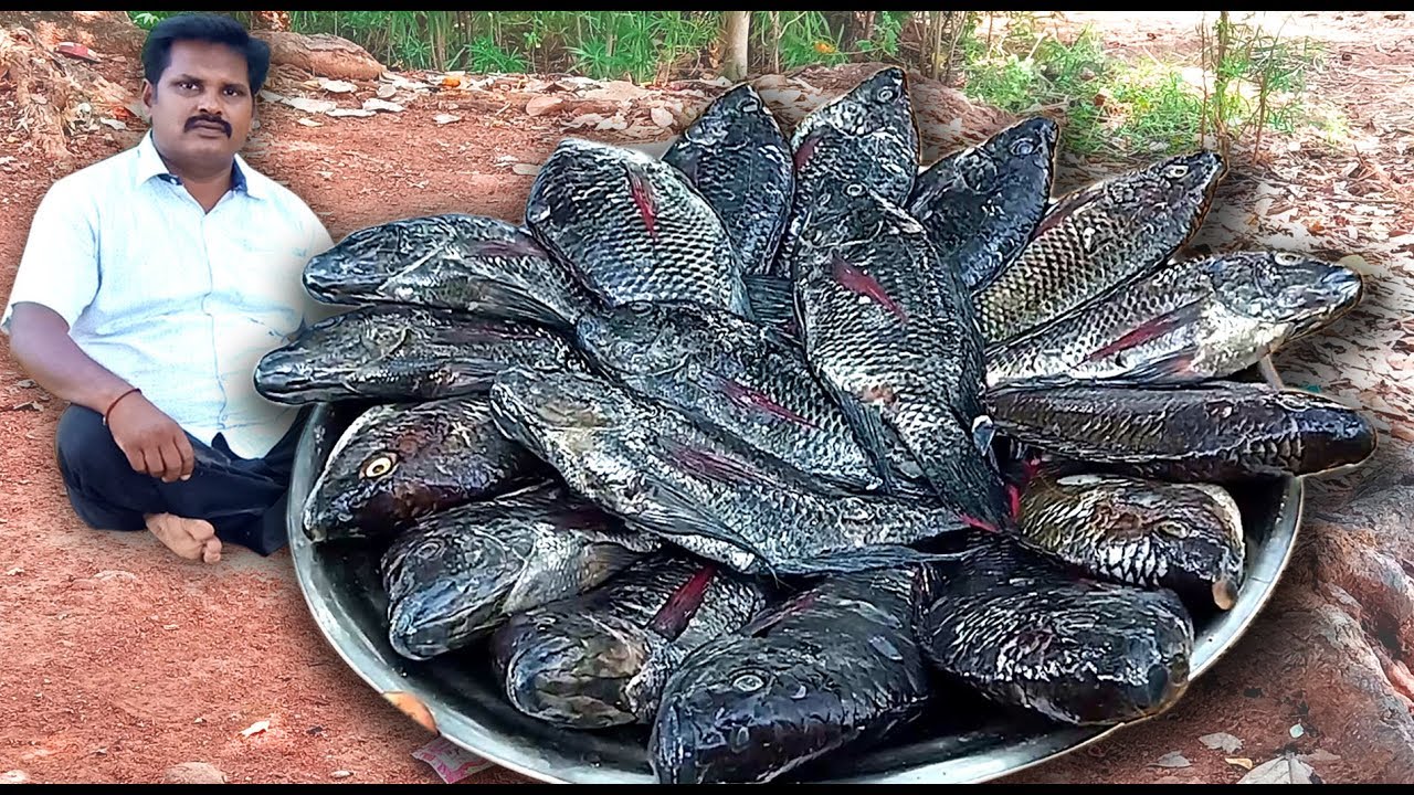 கெண்டை மீன் வறுவல் / full fish fry kendai fish fry in tamil language