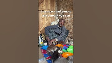 Please don’t scroll without sharing and donating any amount to save my cats with home 🏠 🐱🐱🙏🙏🙏