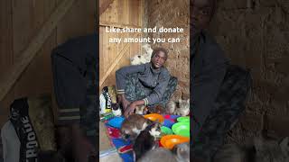Please don’t scroll without sharing and donating any amount to save my cats with home 🏠 🐱🐱🙏🙏🙏