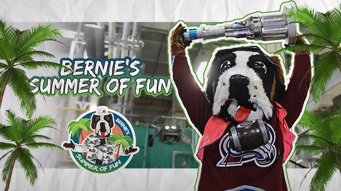 Colorado Avalanche 10 Reasons to Attend Games: Mascot Bernie