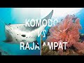 E06  raja ampat vs komodo  lequel choisir pour votre prochain voyage plonge 