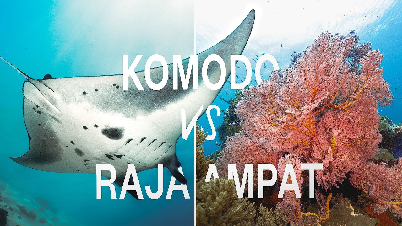 E06 | Раджа-Ампат или Комодо — какой остров выбрать для следующего дайвинг-тура?