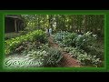 Shade Garden | Volunteer Gardener