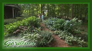 Shade Garden | Volunteer Gardener