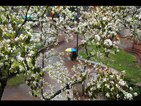 San Joaquin Delta College Montage