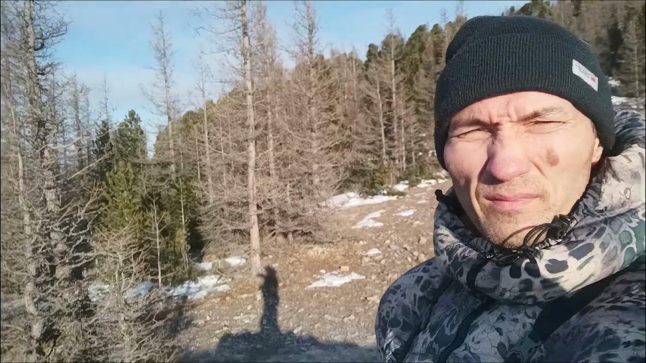 Охота в Саянах